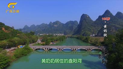 巴马长寿之乡候鸟老人,巴马为什么吸引成千上万的候鸟人