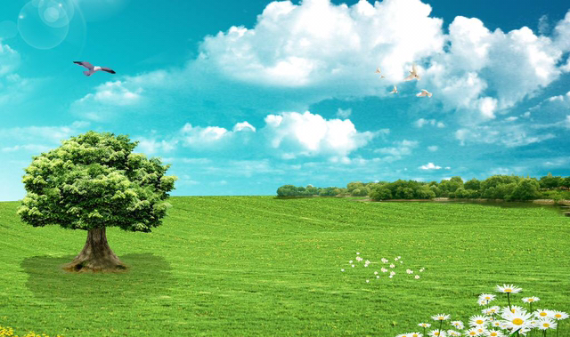 杜甫哪首诗写了春天的五彩斑斓,春天是杜甫笔下似春雨般的什么