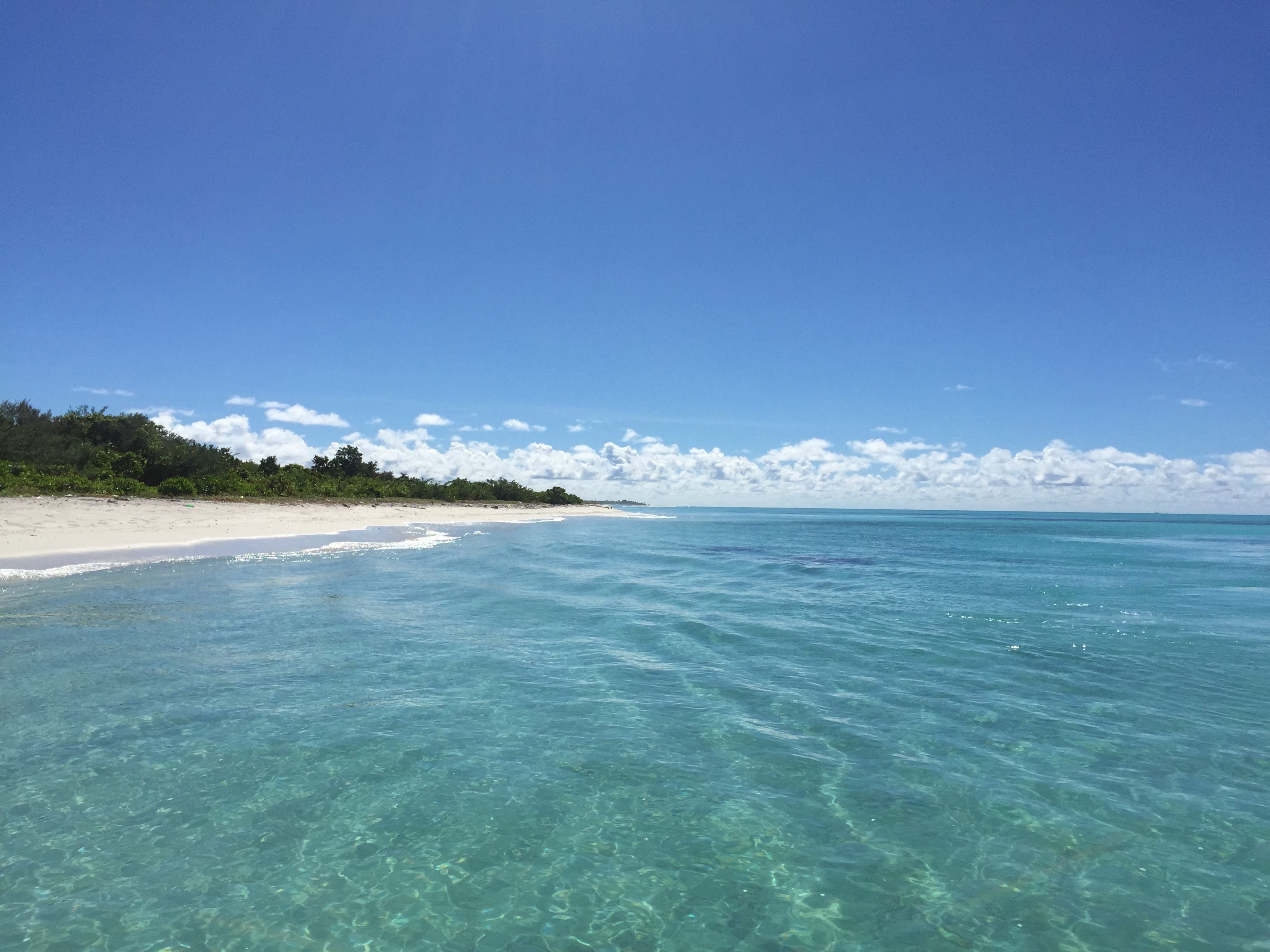 利用波浪理论分析上证指数走势,上证50股指期货的走势预测
