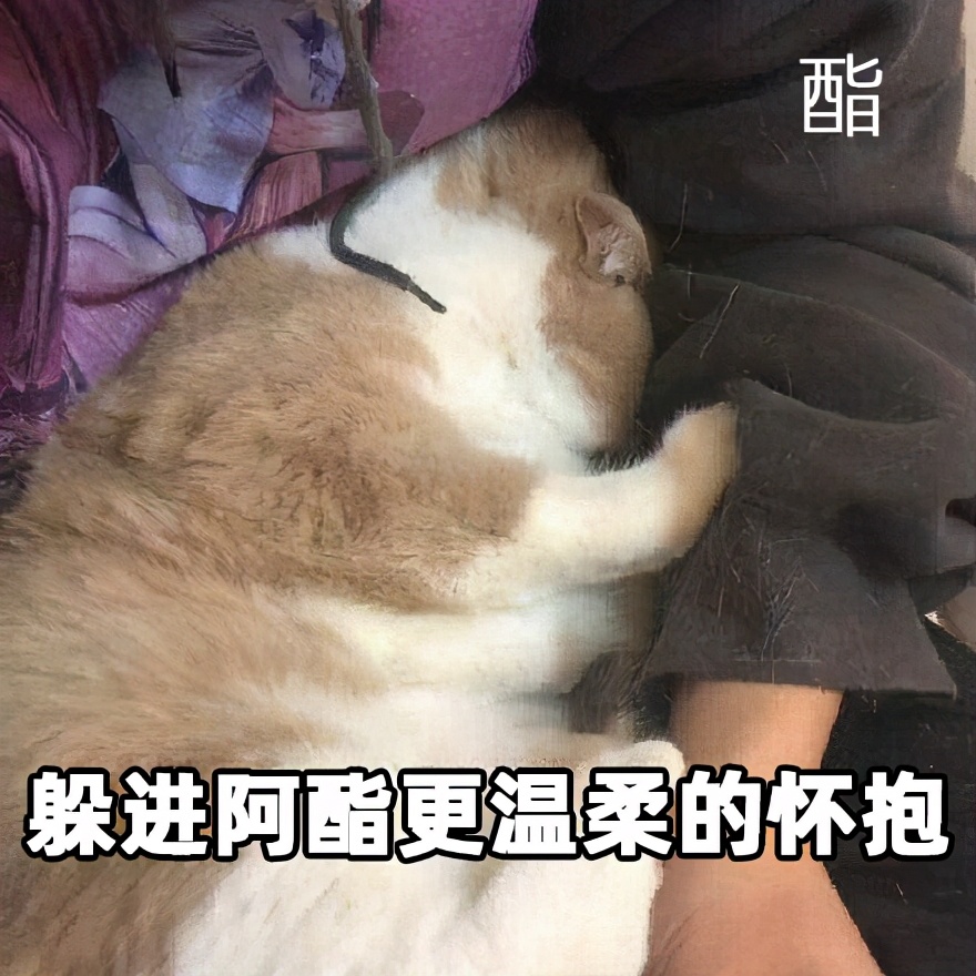 抗衰产品哪个品牌最好,性价比超高的油皮抗衰水