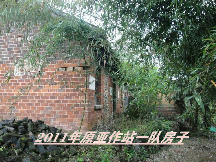 知青情结图片素材,60年代的知青情结