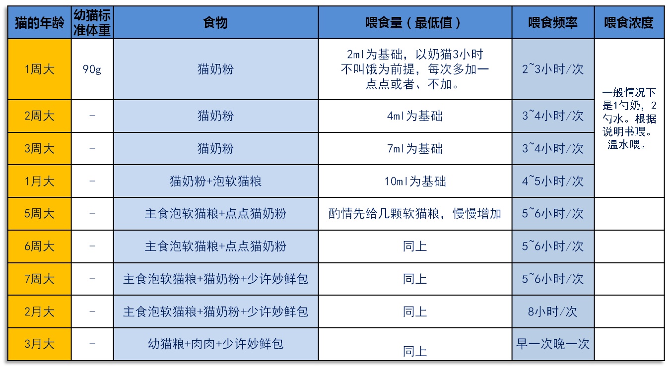 新手养猫铲屎官攻略,猫咪铲屎官新手教程