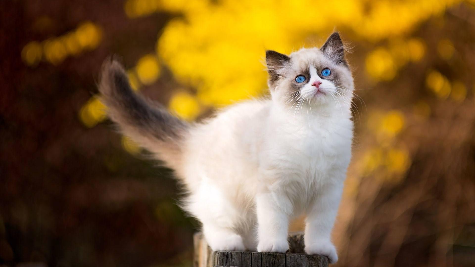 大学英语四级每日打卡,大学英语四级考试练习题