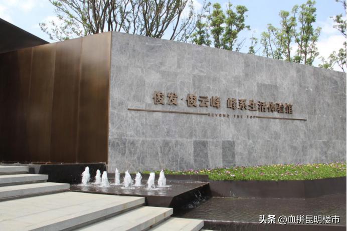 南市区教育大盘,实探学区