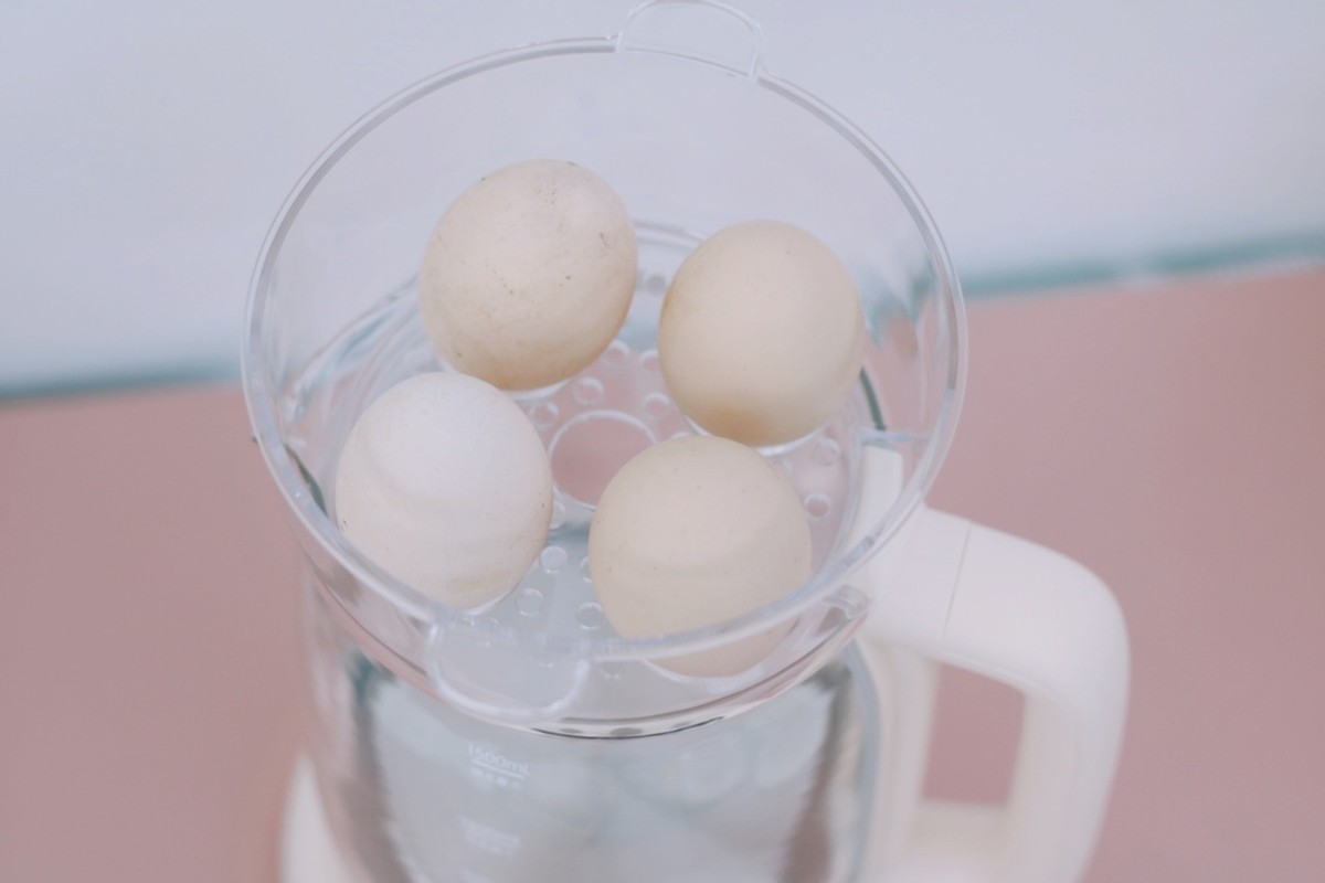 枸杞泡水养生壶推荐哪种好,泡枸杞的壶推荐