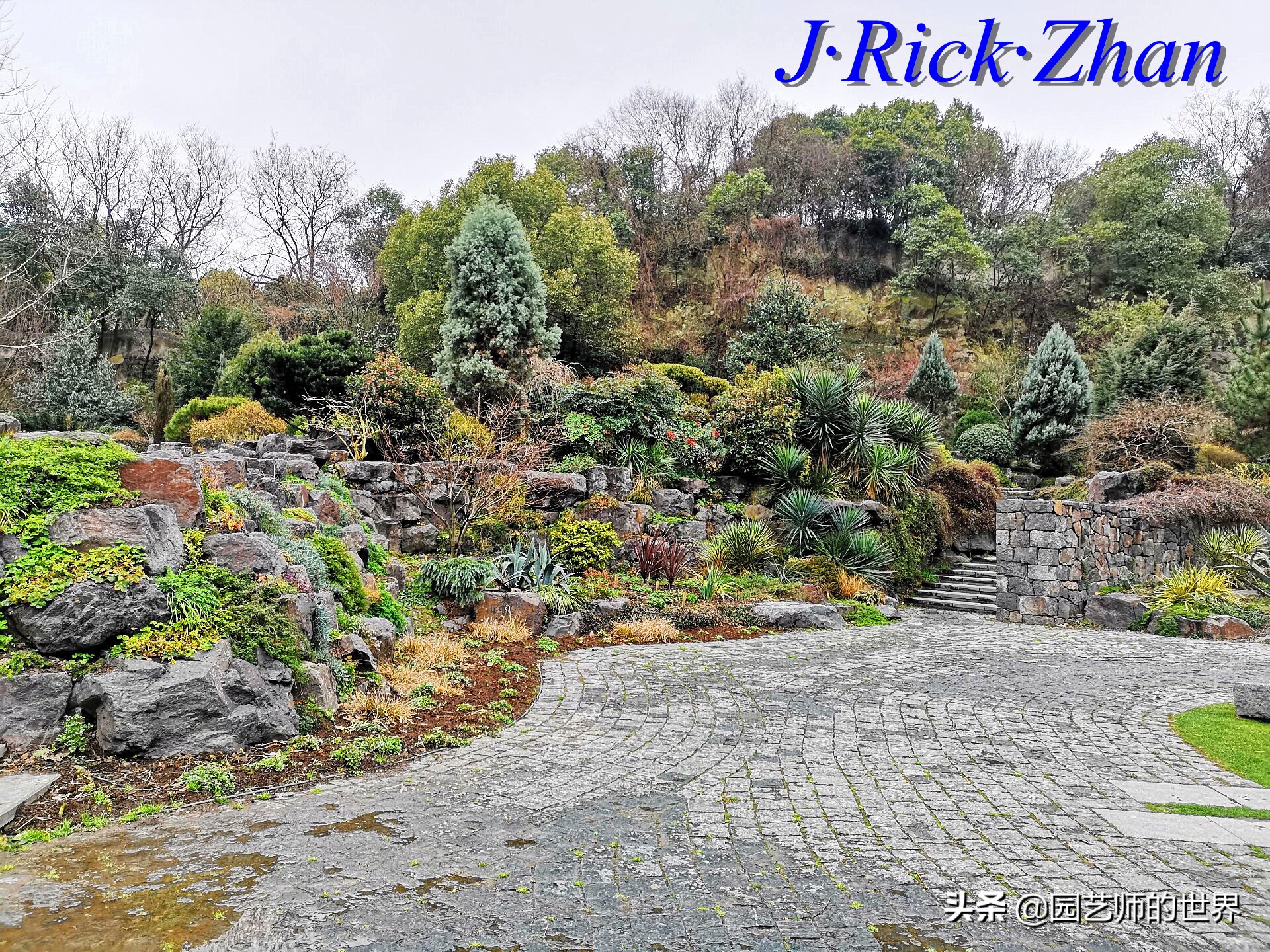 园艺研学报告,园艺园林研学