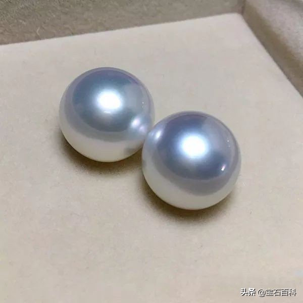 澳白珍珠和南洋金珍珠,澳白南洋白珍珠