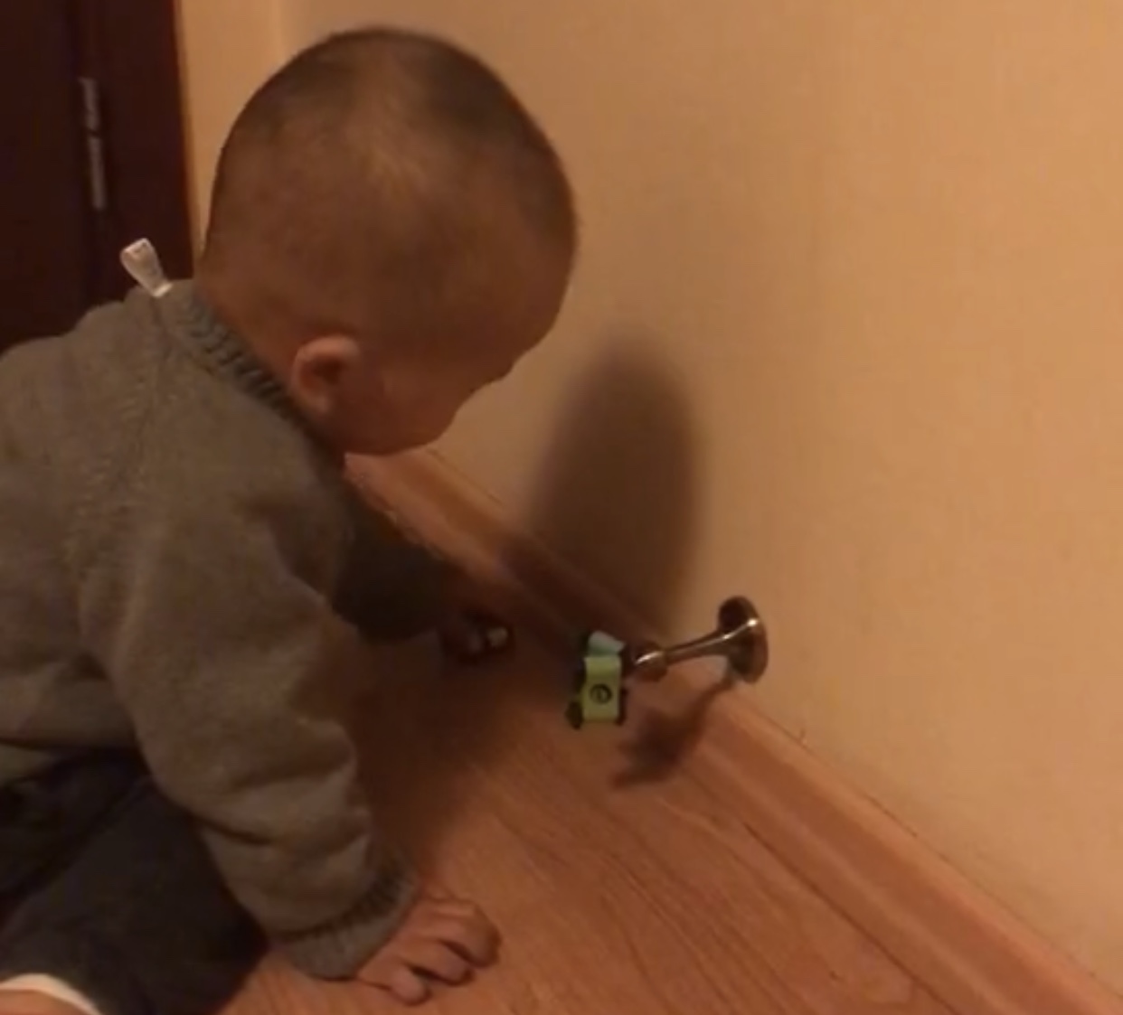 实战：3岁孩子的科学启蒙（上）