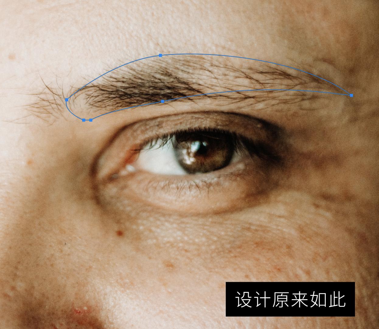 ps眉毛画法教程,ps眉毛美颜修图教程