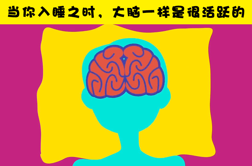 关于人体,大多数人还不知晓的15个事实