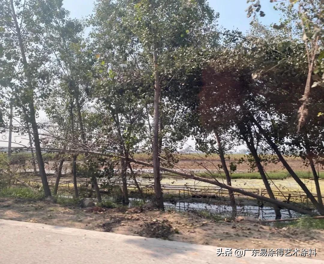 无情洪水难抵拳拳赤子心，颜彩无机壁材重建美丽校园