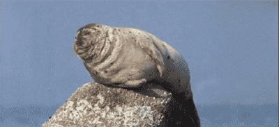 宝宝总打嗝停不下来怎么办啊,打嗝打了一天一宿停不下来怎么办