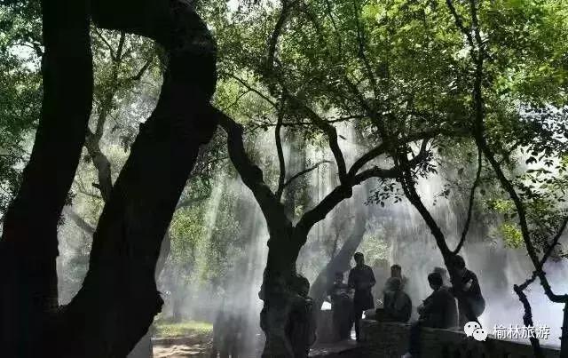 榆林市区网红打卡推荐,榆林网红打卡地晚上