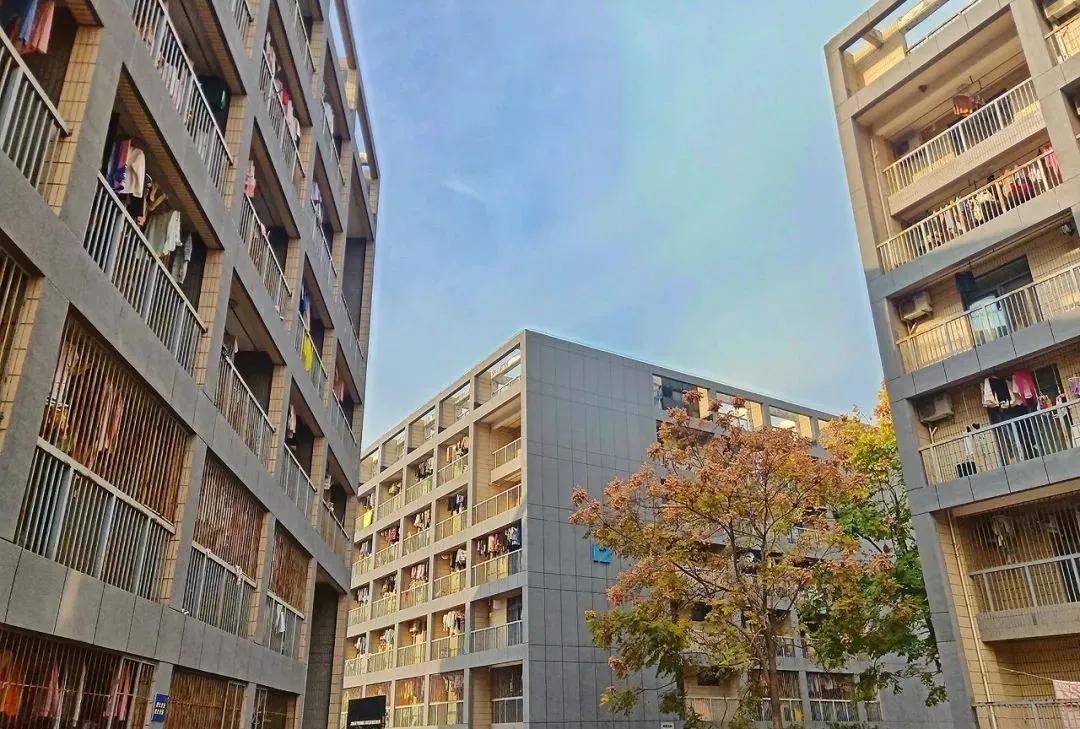 九大美院校园风景,中国九大美院校园风采