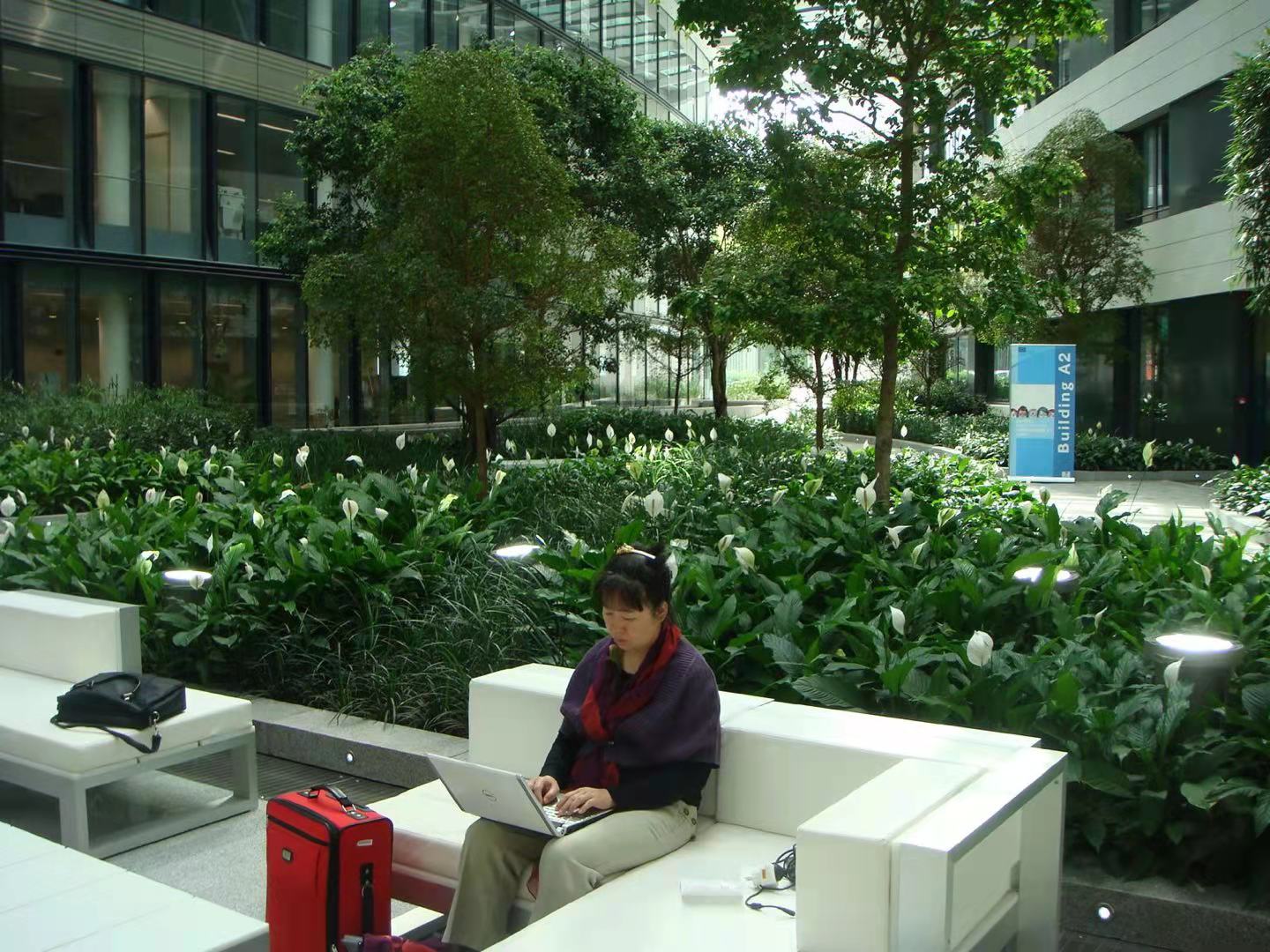 陪读夫人不好当，漂泊和寂寞让人化茧成蝶