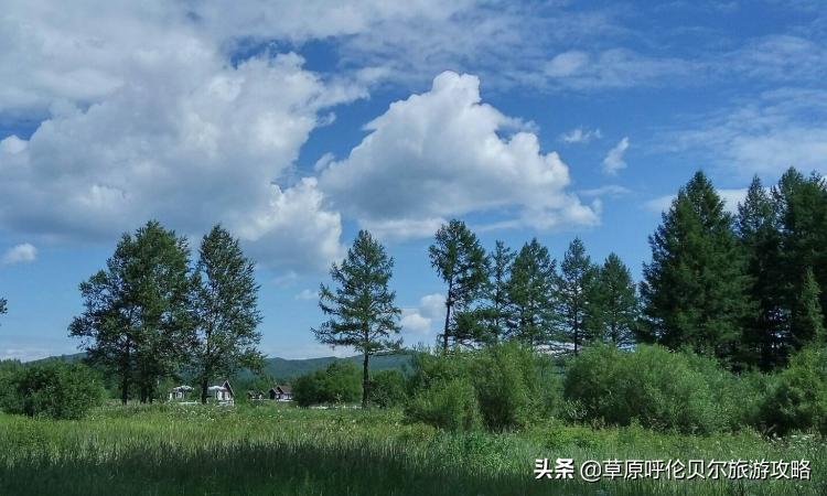 呼伦贝尔根河游玩攻略及根河景区介绍