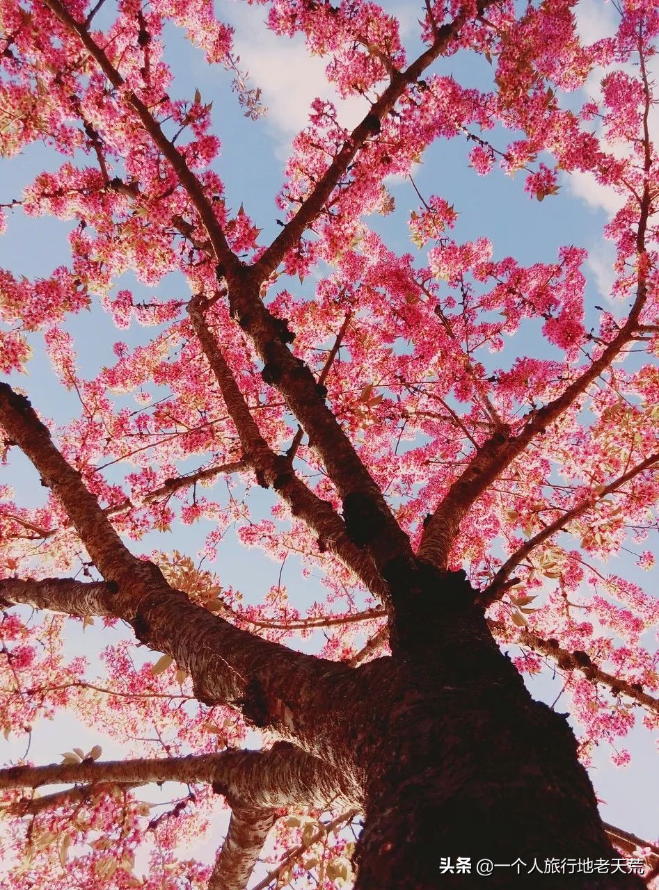 七天假旅游攻略推荐地方,拼假旅游最全攻略