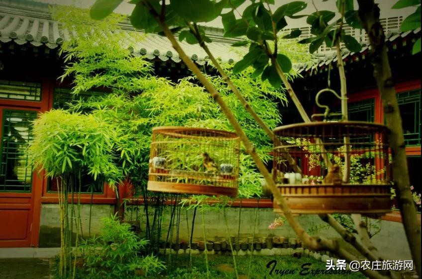 有历史文化气息的老院子,老院子美到骨子里