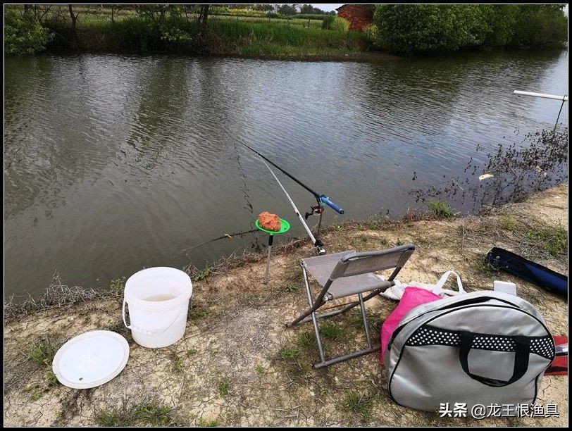 奶香鲫好用还是腥香鲫好用,夏天蓝鲫用腥香还是用奶香