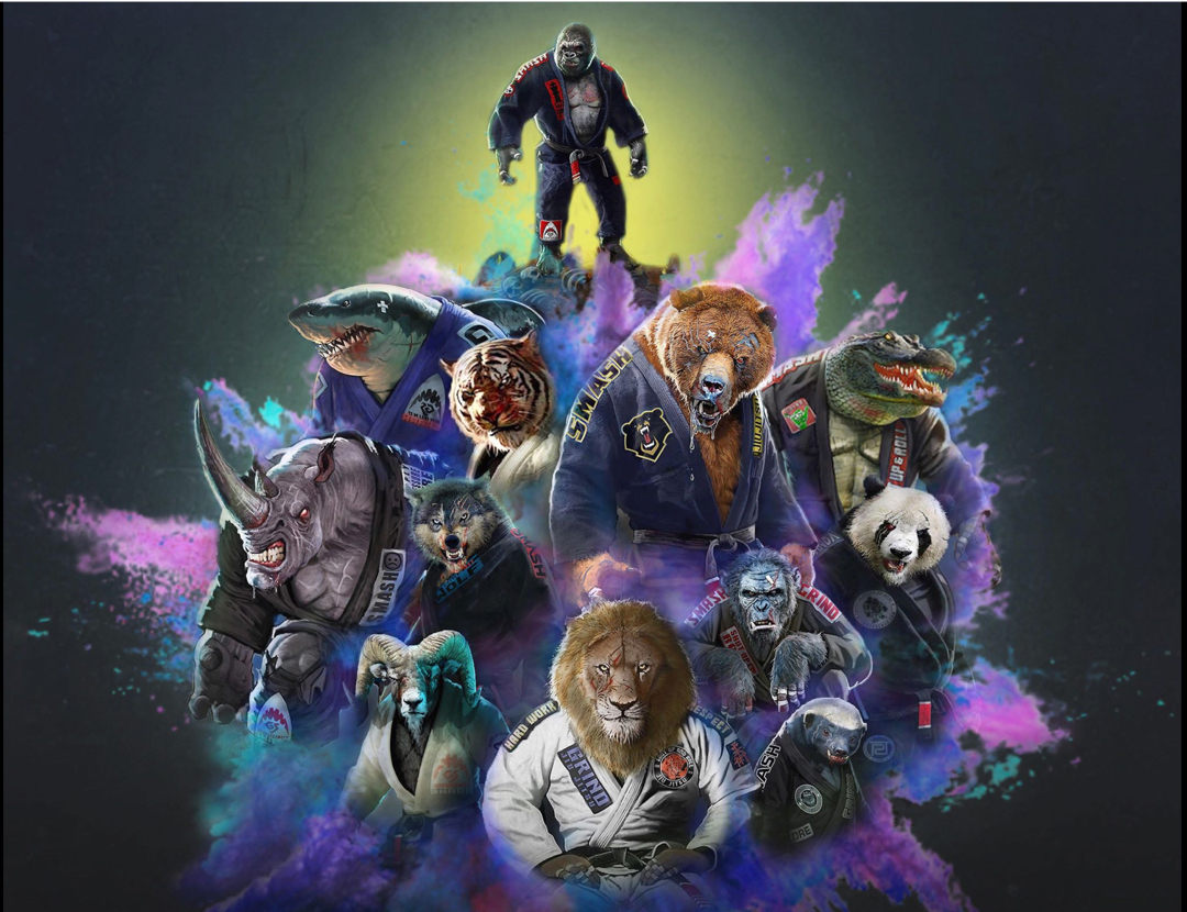 会巴西柔术的动物有多酷?让GroundShark(陆地鲨)告诉你