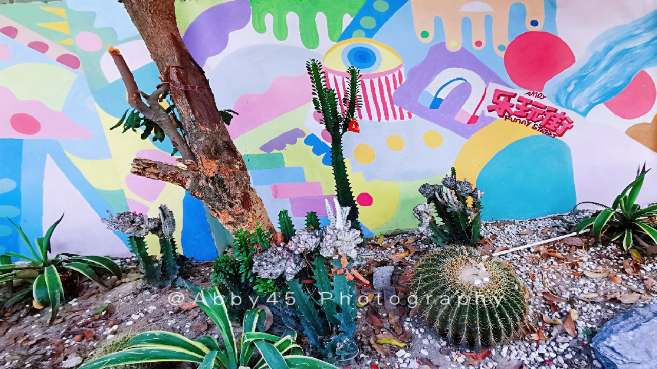 厦门旅游玩的地方排名榜前十位,厦门五一旅行景点排名前十大