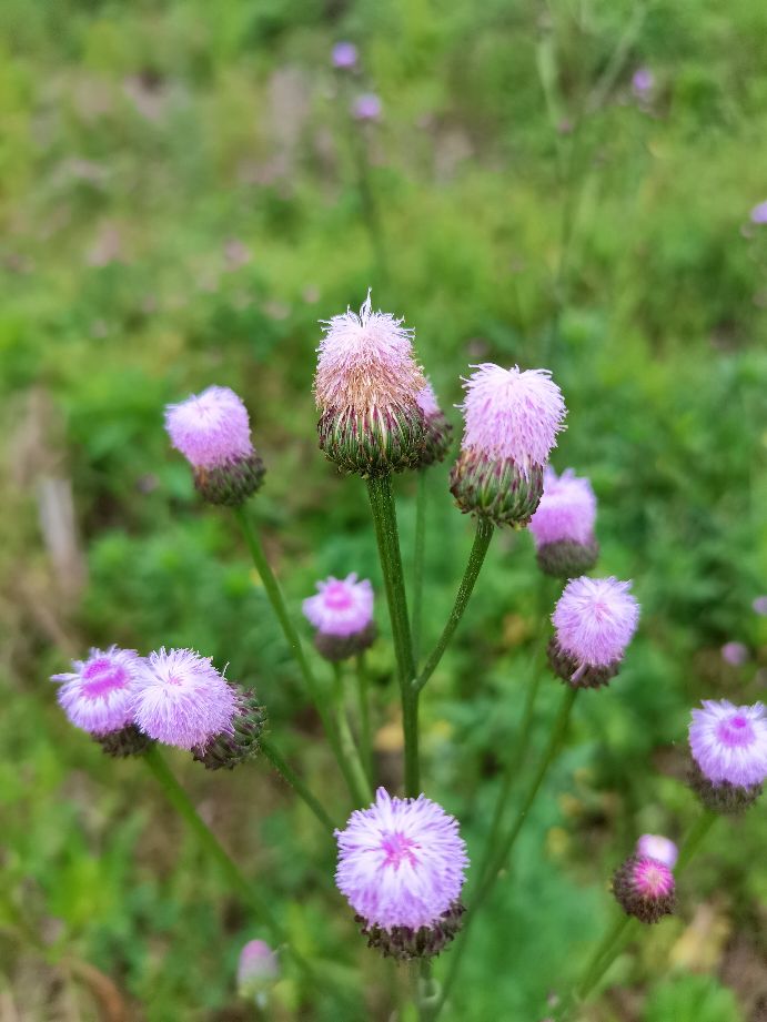 商场看购物小票,超市购物后你看小票吗