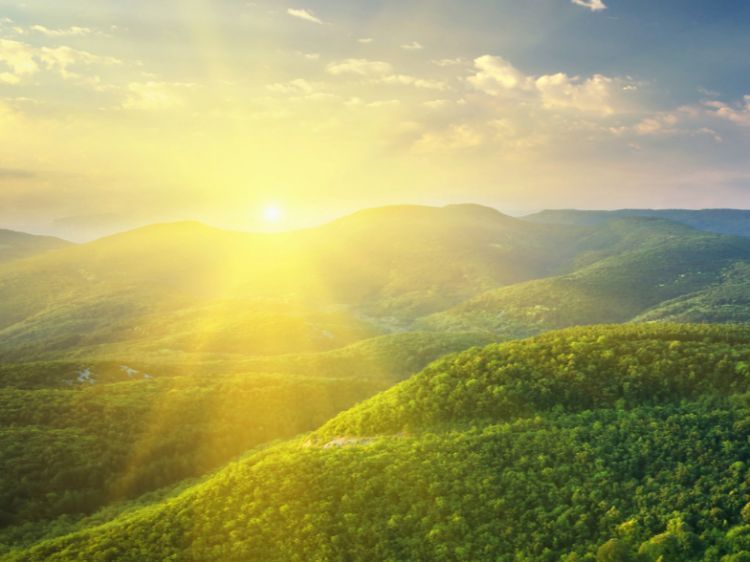 一笔一画描绘法治中国宏伟蓝图——深入学习贯彻习*平近**法治思想综述