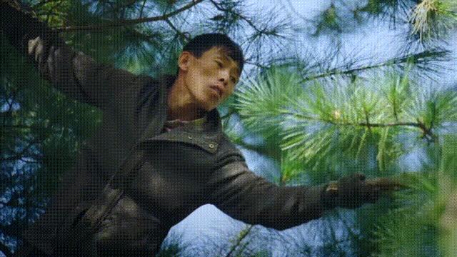 东北跑山是什么样子的,松花江采冰视频