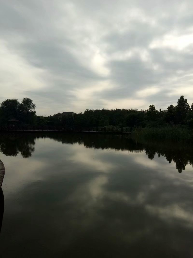 秋天的杨府山公园,秋天的泉山森林公园