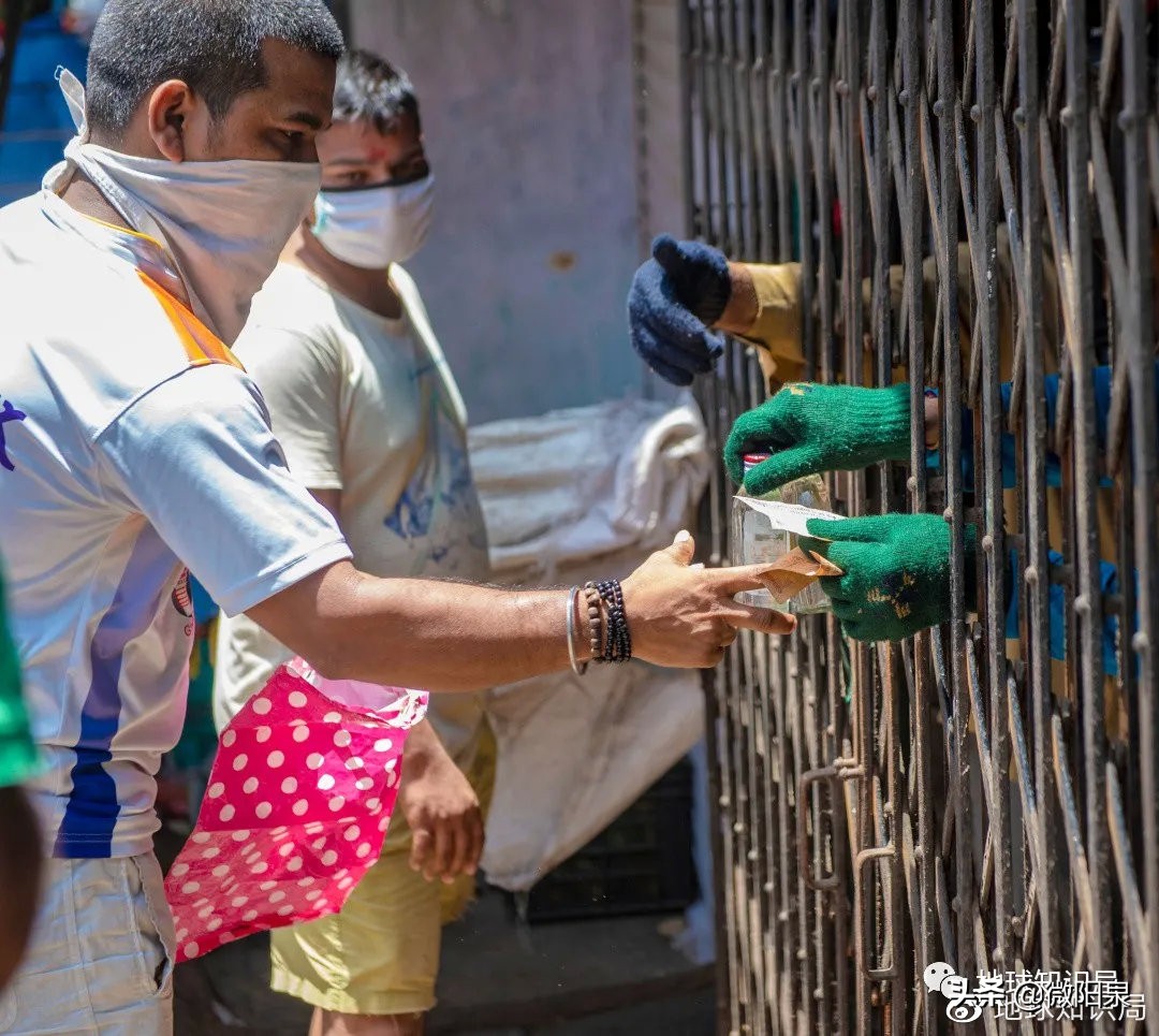 印度，“野生便利店”|地球知识局