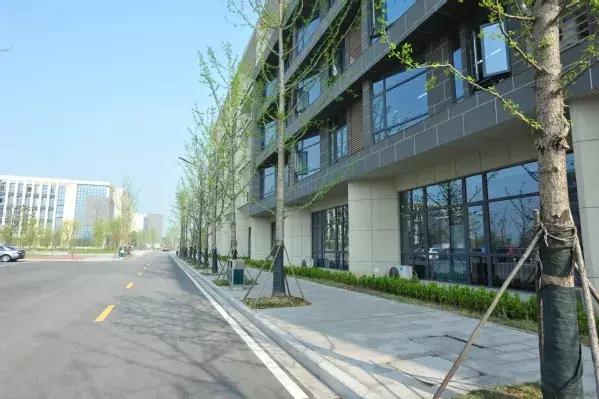 泰州学院校园美景,泰州学院历史