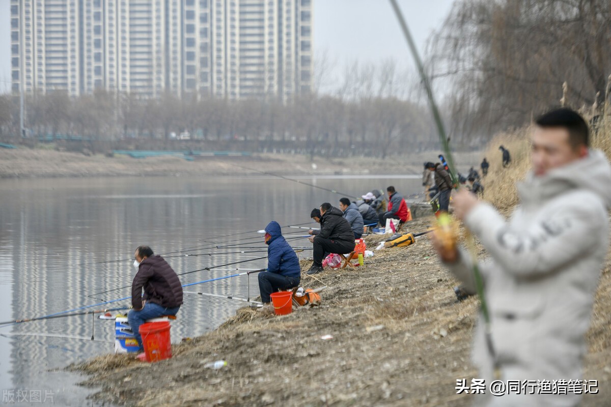 蚯蚓钓鱼怎么挂钩比较好,蚯蚓钓鱼要不要露钩尖