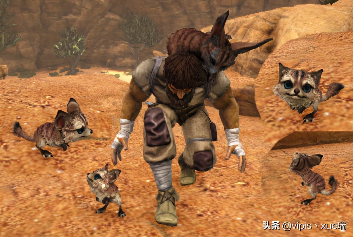 鏂硅垷鐢熷瓨杩涘寲璺抽紶鍦扮墷,鏂硅垷鐢熷瓨杩涘寲鎵嬫父椹湇璺抽紶