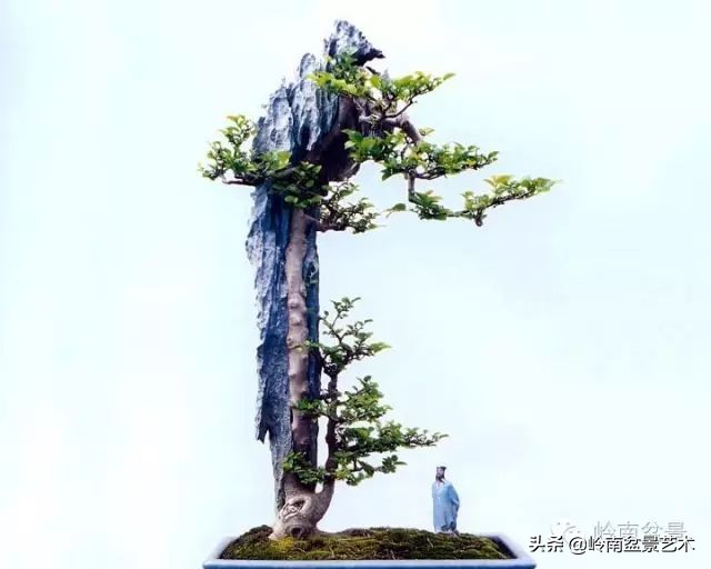 鎮礀缁濆閫㈢敓,鎮礀鐩嗘櫙澶у叏