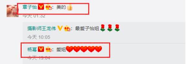 杨幂被王思聪追求过吗,杨幂与王思聪谁的格调高