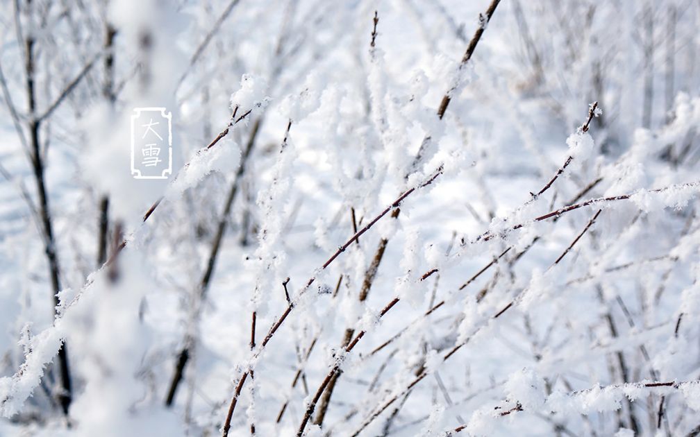 诗词里的二十四节气之大雪,描写节气大雪的诗词