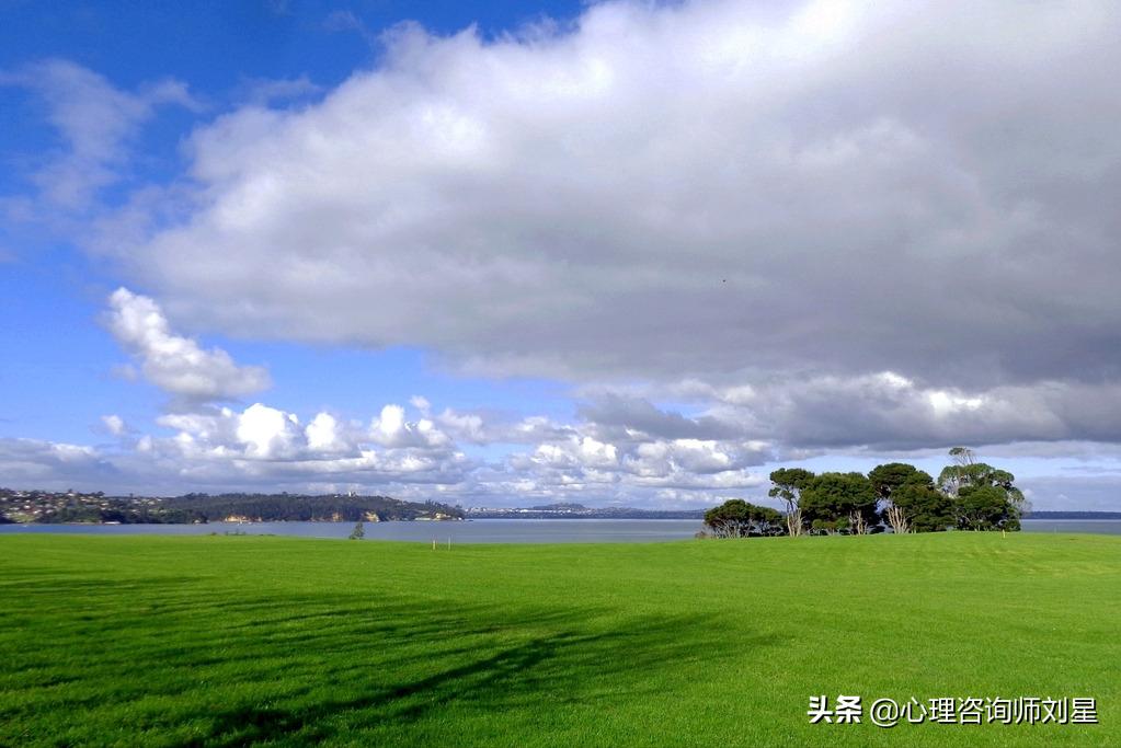 半夜起来睡不着心理学原理,凌晨23点睡不着什么原因
