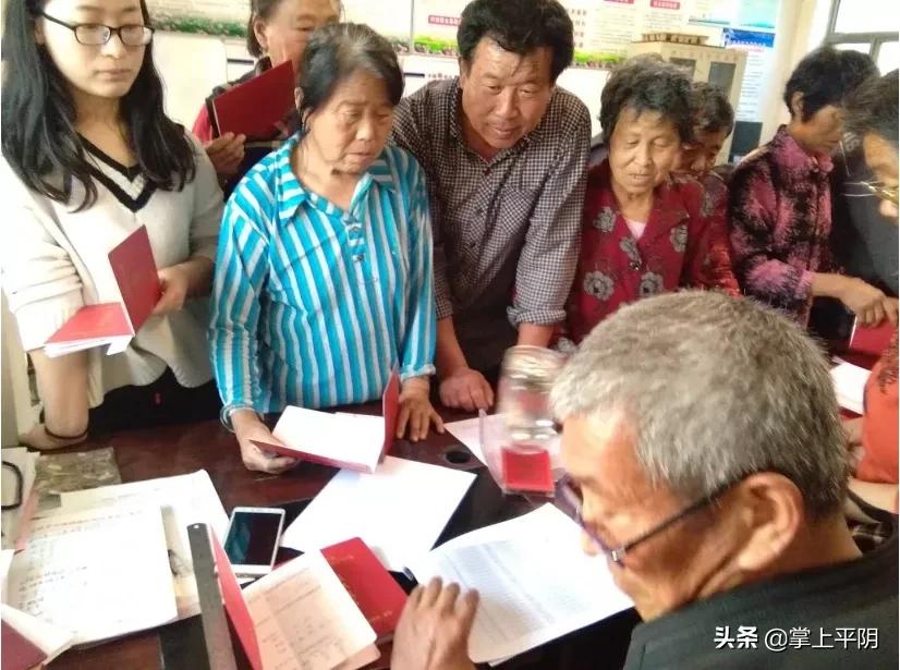 平阴新闻|节日期间安全生产、疫情防控不放松;昨日玫瑰花花冠、花蕾、大花价格