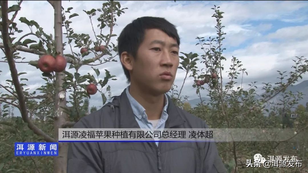 农特产品电商市场情况,农特产品电商运营