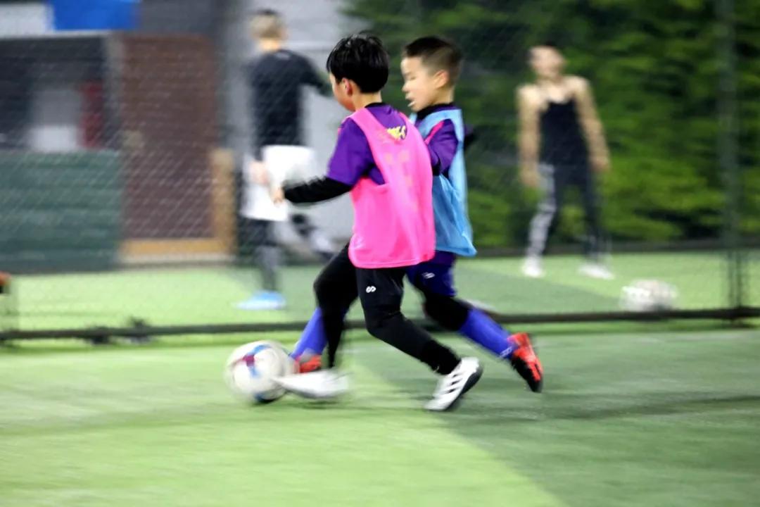 津门网金熙男：足球小将