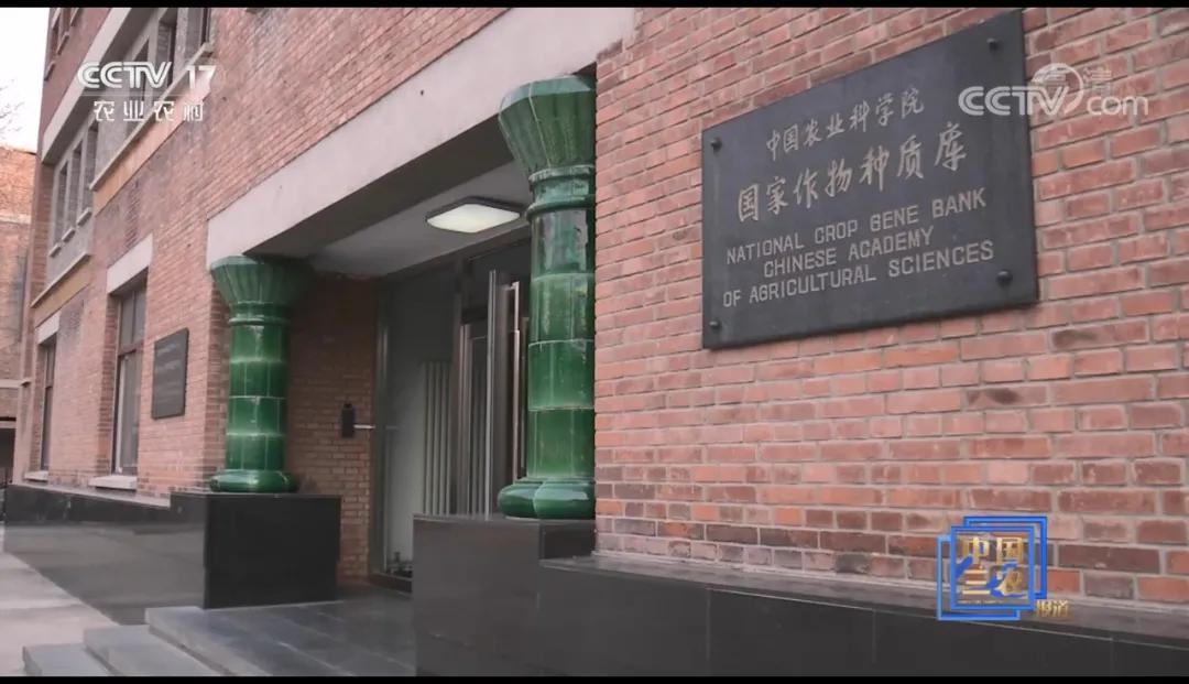 什么样的种子可以确保品相一样,种子如何进入种质库