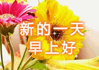 早晨问候早上好暖心句子图片,最新版早上问候动态表情图片大全