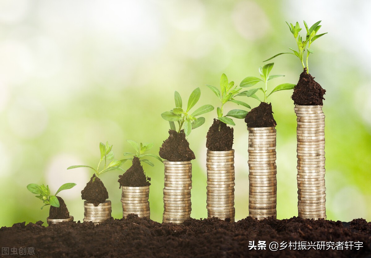 众筹农业项目合法吗,乡村振兴众筹营销渠道