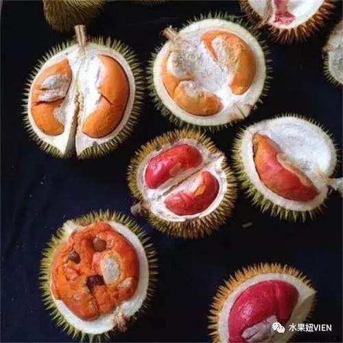 榴莲工业催熟,榴莲家里催熟