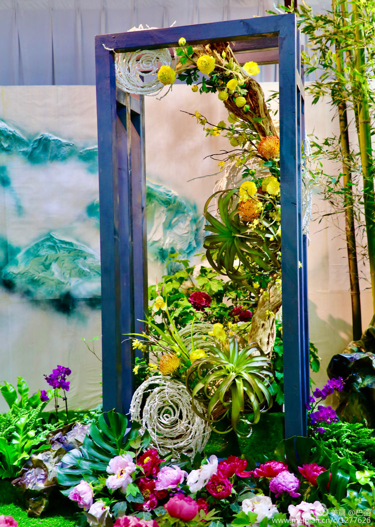 看洛阳牡丹花卉节,洛阳古都牡丹花展