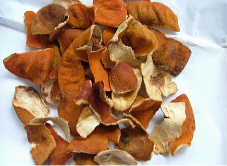 扁鹊医术从哪里来,扁鹊怎么发现穴位