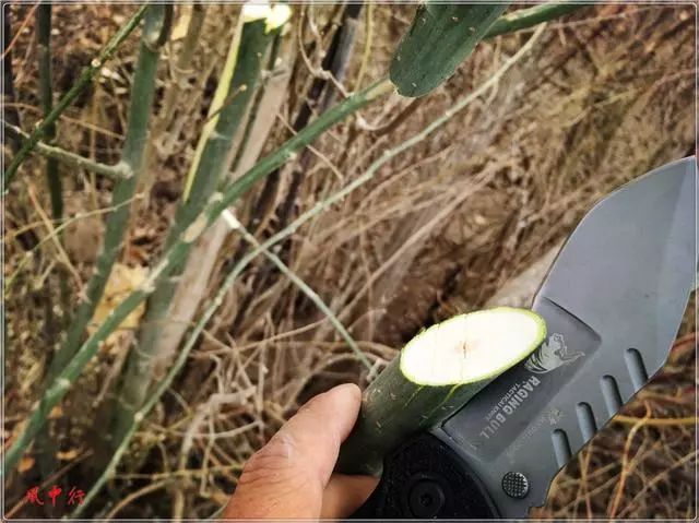 折叠狗腿刀,刀刀评测