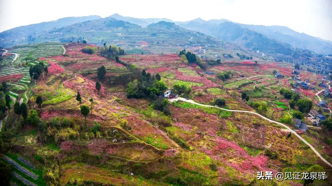 美成仙境,美成了仙境