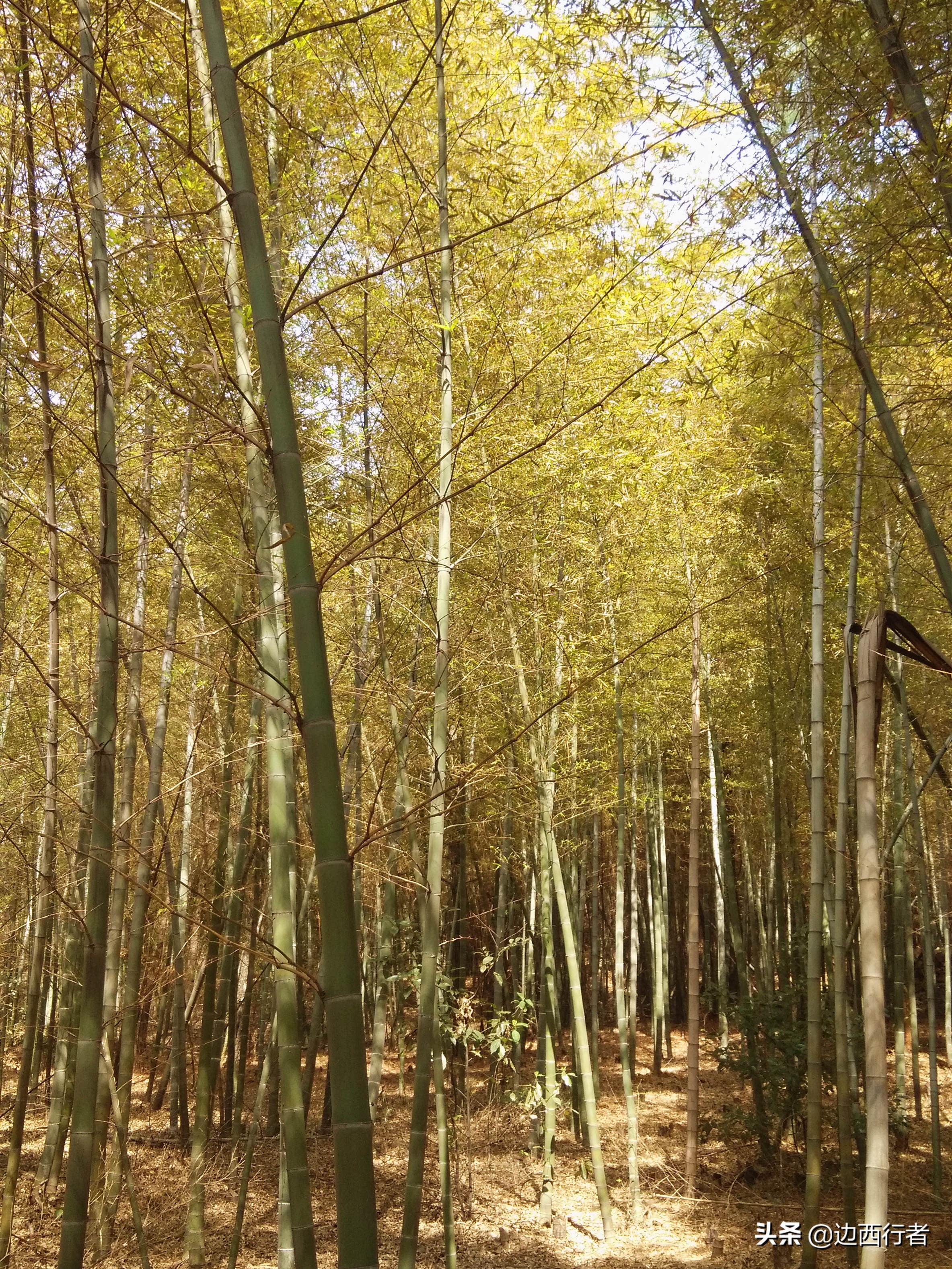 你听说过敔山湾吗？越是名不见经传的小众景点，越有独特的魅力