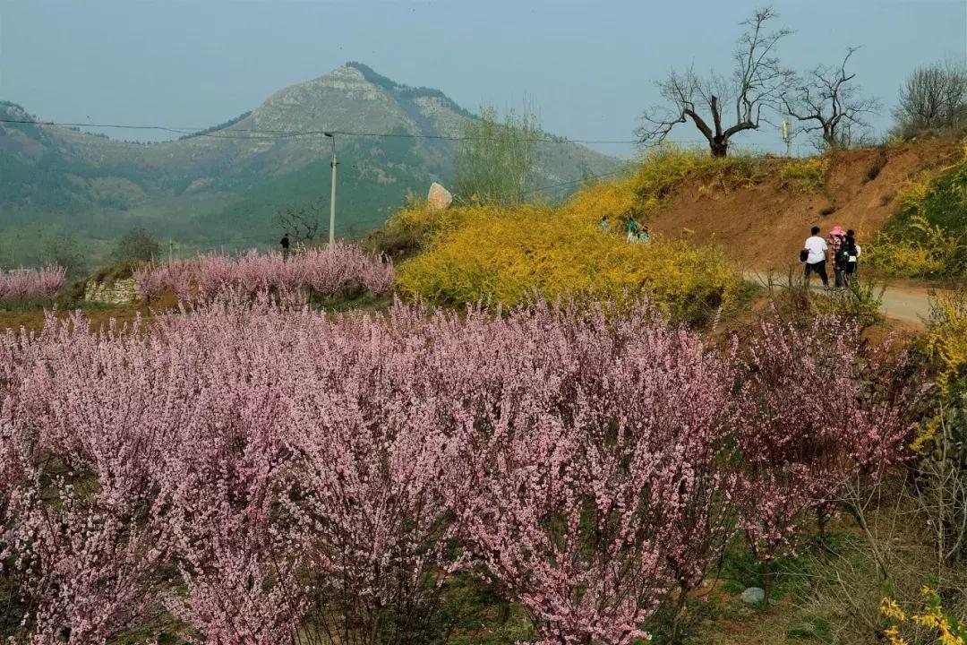 临朐石门坊风景区介绍视频,临朐石门坊风景区海拔
